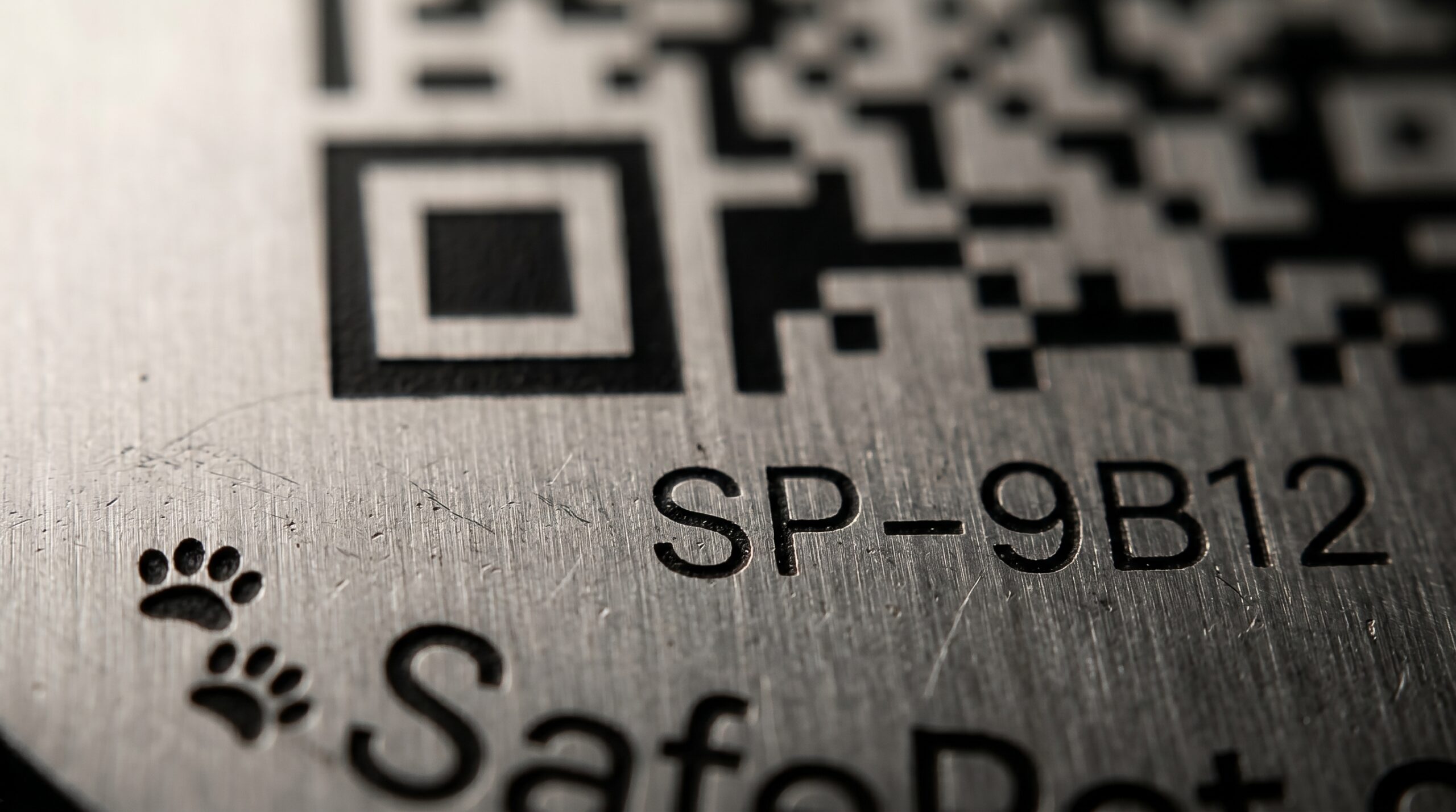 Détail gravure laser sur la médaille SafePet