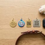 Médaille QR chien et chat en Tunisie : comparatif 2026